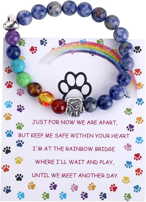 Rainbow Bridge Memorial Bracelet ��� 7 Chakra Bead Gift For Pet Loss