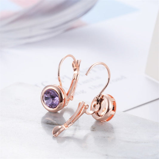 Elegant Amethyst Earrings