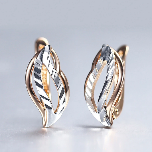 Earrings in Gold and Silver